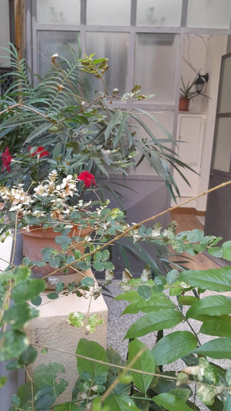 L'Angolo Verde In San Luca 제노바 외부 사진